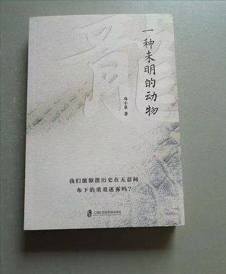 神奇的人，神奇的书！追忆《龙：一种未明的动物》作者马小星 - 6