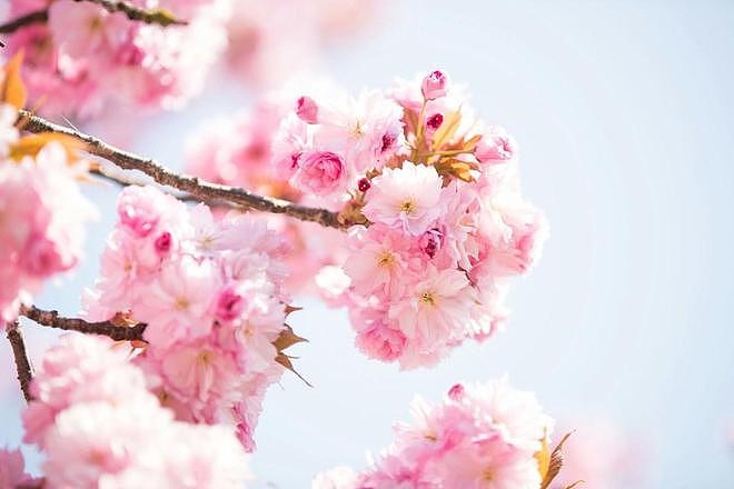 小叔子要结婚，婆婆让我给20万，因为她帮我带了3年孩子，气笑了 - 4