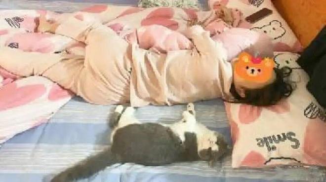 猫和老公一起看电视时同步回头，主人瞬间发现了真相：原来它们真的会偷偷拜师学艺… - 7