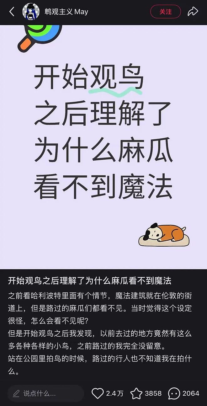 从路边一条逆袭成全网顶流的夜鹭，带抽象观鸟区走向大众？ - 47