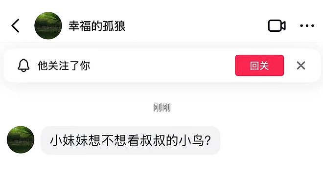 从路边一条逆袭成全网顶流的夜鹭，带抽象观鸟区走向大众？ - 2