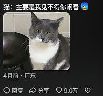 因为太爱喊“高考加油”，中国网友开始用“底层代码”解释全网抽象行为？ - 29