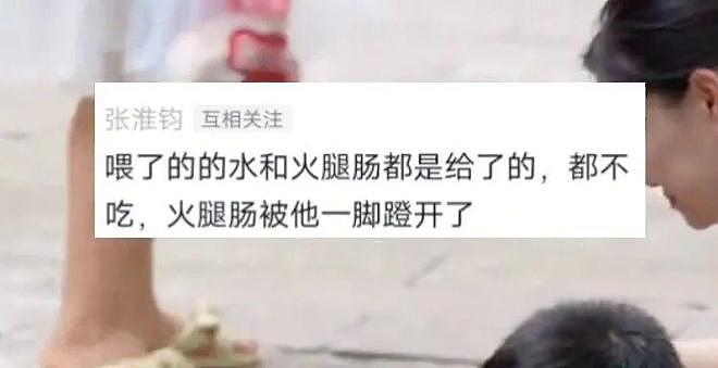 重庆街头出现离谱一幕：一群人围着给流浪猫扇风……网友：川渝猫已经活明白了！ - 3