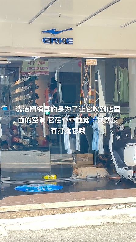 流浪狗每天趴在店门口睡觉，老板一个小动作让路人都点赞：它没进店，却被老板默默宠了好几年… - 1