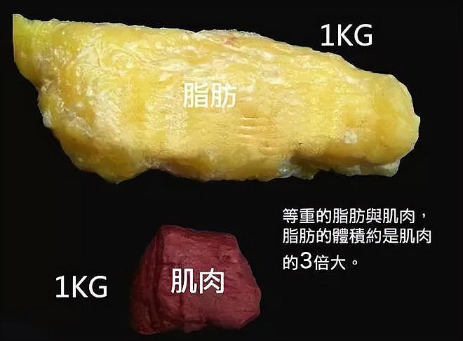 男人多做力量训练有哪些益处？附：5个王牌力量动作 - 4