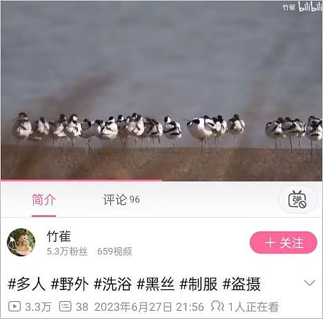 从路边一条逆袭成全网顶流的夜鹭，带抽象观鸟区走向大众？ - 4