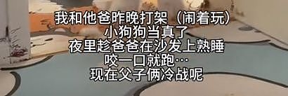 狗子以为妈妈被欺负，半夜偷偷爬上床，咬了爸爸一口给妈妈报仇...妈宝狗也太双标了！ - 4