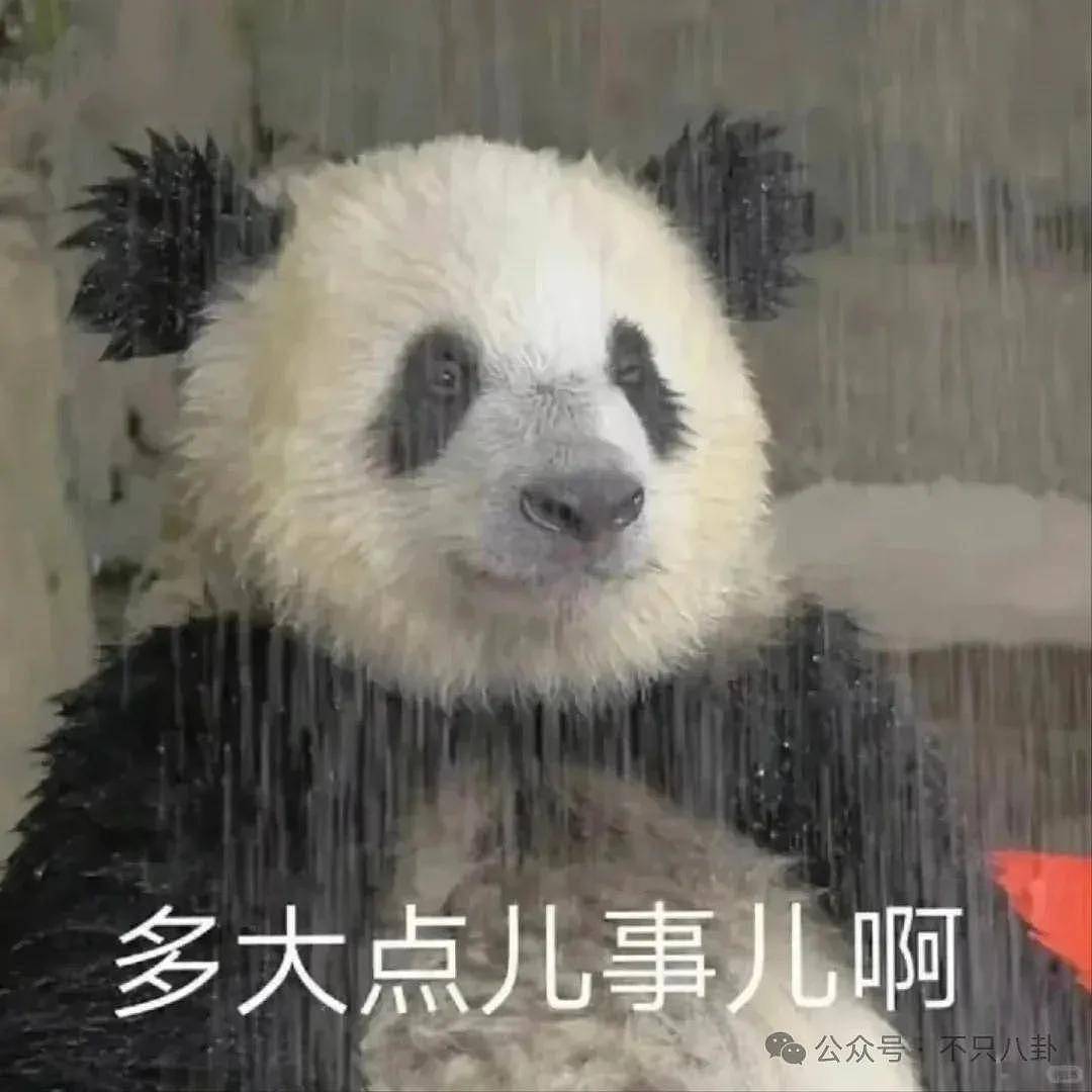 事业刚有起色她又恋爱了？上一场恋爱谈到最后发现男方根本不爱她…… - 15