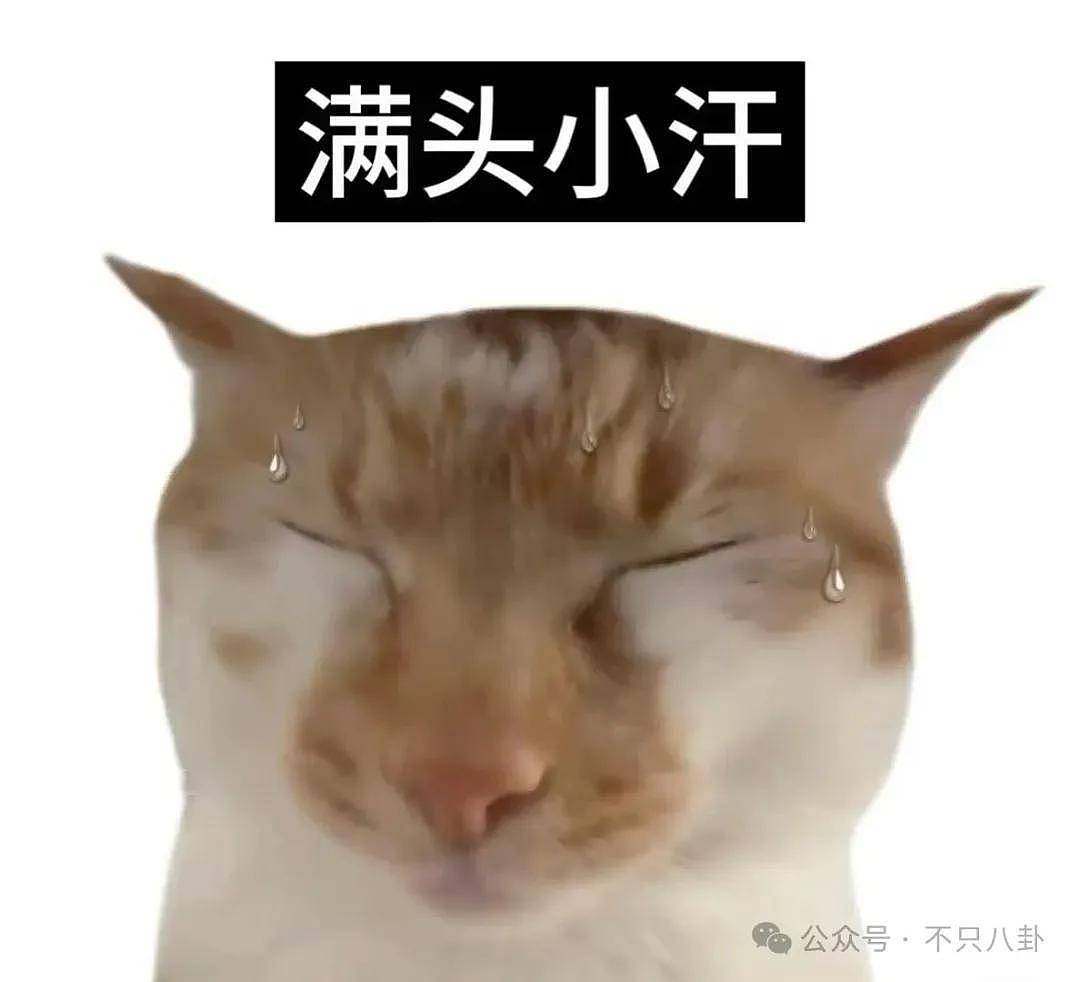 被传即将要三搭她却亲自下场拆cp,他俩的cp粉真有点惨啊...... - 16