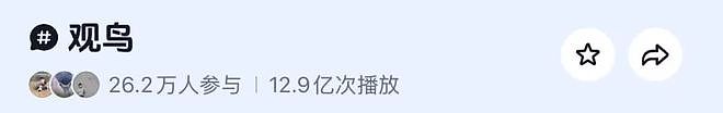 从路边一条逆袭成全网顶流的夜鹭，带抽象观鸟区走向大众？ - 9
