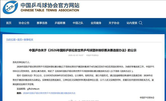 韩莹老公:樊振东要是回国乒打国际比赛 3个月就能重回世界前十 - 2