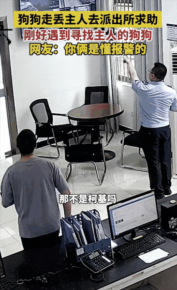 男子急匆匆跑进派出所报案“柯基被偷了”，民警一看狗狗就在派出所门口……网友：但凡小狗腿再长点都追上你了！ - 4
