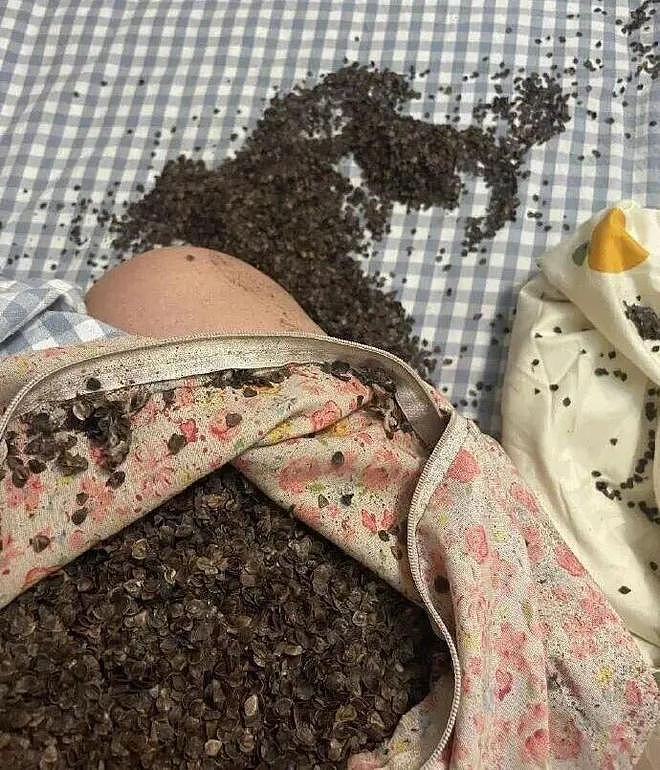半夜听见咔呲咔呲的声音，挂吓人的……睁眼一看血压直接上来了！ - 3