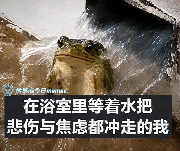 为啥古代的皇帝不爱处罚犯错的嫔妃，看完姑娘讲解我瞬间悟了哈哈 - 8