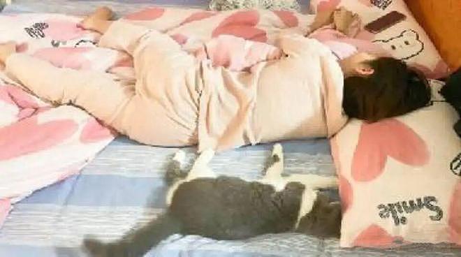 猫和老公一起看电视时同步回头，主人瞬间发现了真相：原来它们真的会偷偷拜师学艺… - 6