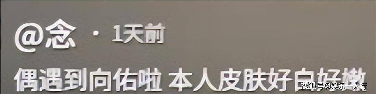 向佑安吉文旅翻车实录:12.7万人在线1小时砍半,被合伙好友坑到连哥哥刚挣的口碑都赔了 - 7