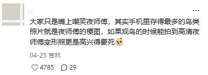 从路边一条逆袭成全网顶流的夜鹭，带抽象观鸟区走向大众？ - 31