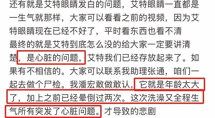 千万粉网红潘虹惹众怒！为流量给狗洗澡致死，网友呼吁清朗封杀 - 11