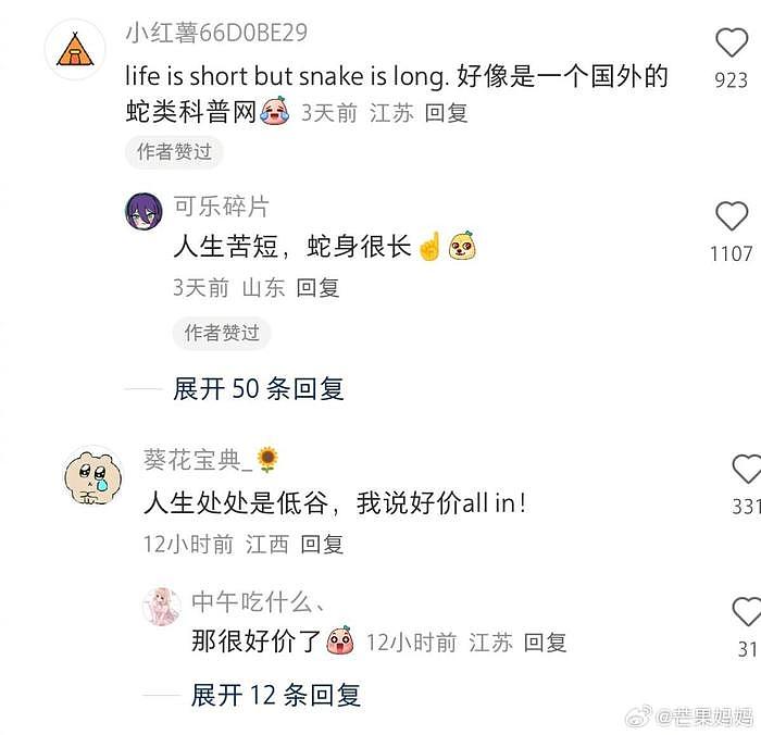 啊啊啊啊跟你们这些天赋型选手拼了 - 10