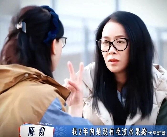 陈数首谈14年婚姻,盲目听从丈夫安排,身患重病后悔了吗? - 7
