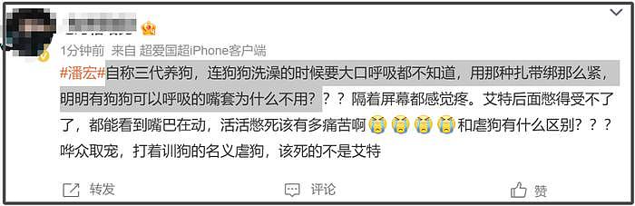 千万粉网红潘虹惹众怒！为流量给狗洗澡致死，网友呼吁清朗封杀 - 13