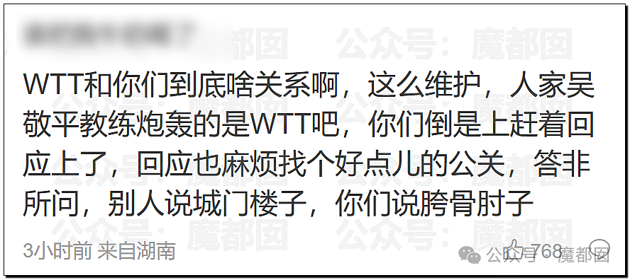 鞠婧祎税务调查结果出炉！到底是谁那么恨樊振东？脸都不让露？（组图） - 80