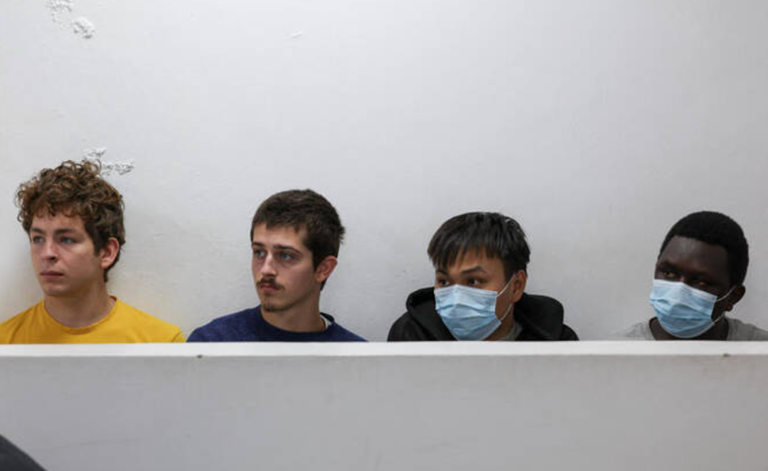 一只蚂蚁卖220美元,走私一波就是5000只蚁后!野生动物黑市,悄悄换了赛道(组图) - 1