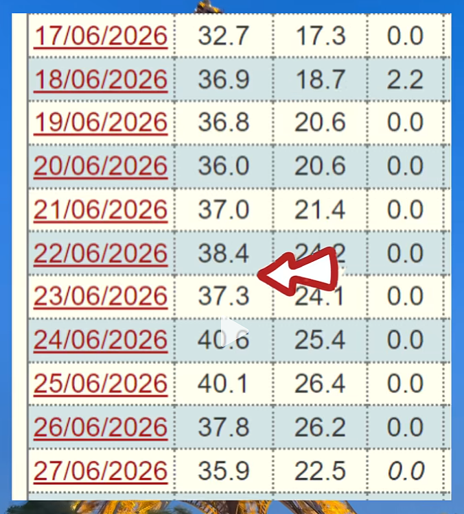 嫌弃开空调不优雅的欧洲人,今年终于热破防了 - 7