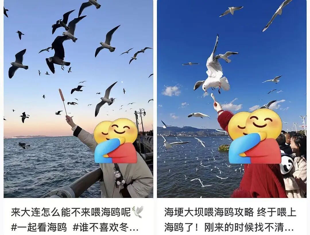 网红又发明了新的“作死”拍照方法：喂海鸥（组图） - 4