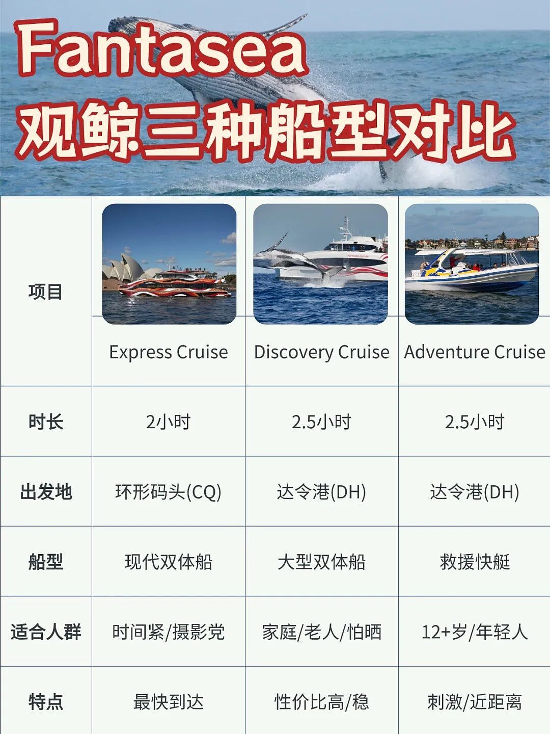 悉尼观鲸千万别盲订!!不同船体验差太多了… - 2