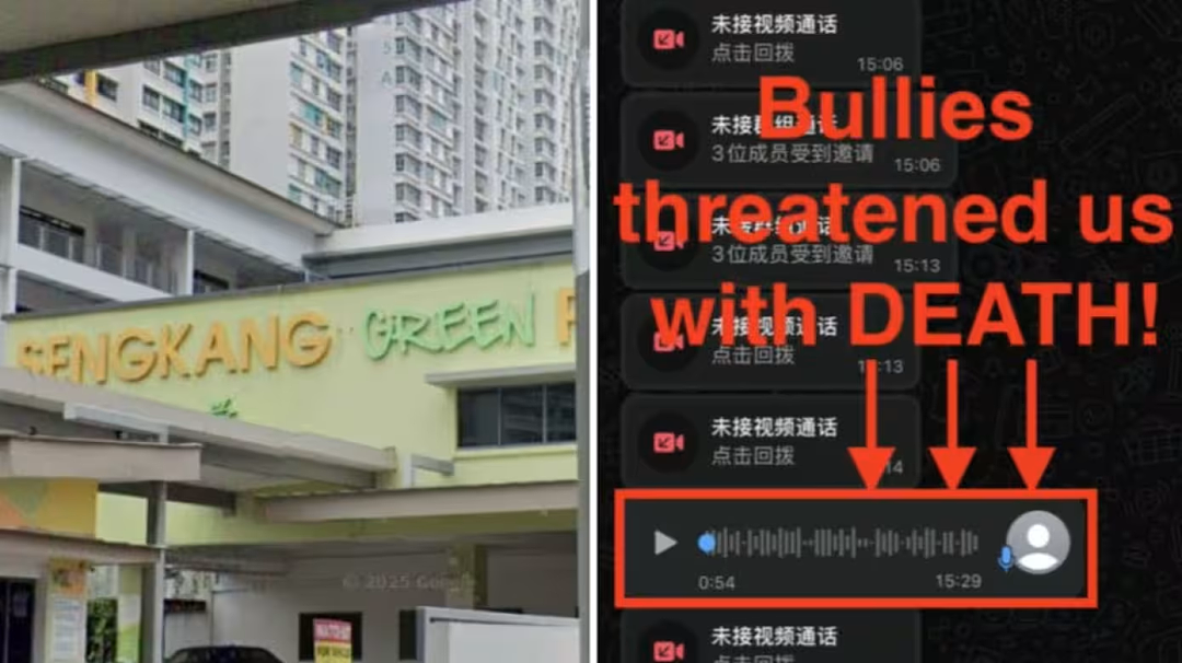 小学生“犯法”一样被打鞭！新加坡教育管制放狠招，中国新移民家长坐不住了（组图） - 3
