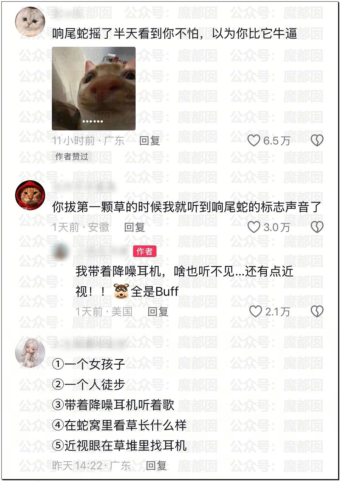 全网骇然！女生被AI带入剧毒蛇窝！遍地响尾蛇险些命丧当场（组图） - 57
