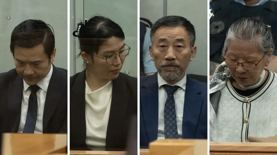 华人一家4口重罪被捕，4娃被强制监护！新西兰下令驱逐中国姥姥...（组图） - 4