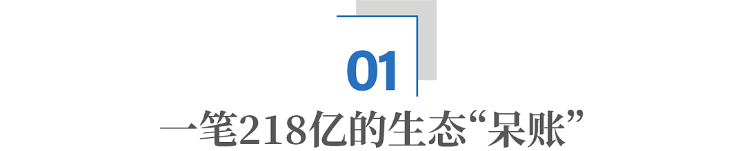 GDP垫底的区，却拿着上海最硬的底牌（组图） - 3