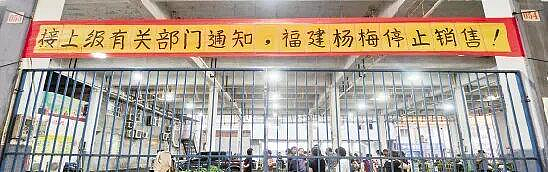人人喊打的“泡药杨梅”，被自己人坑惨了（组图） - 4