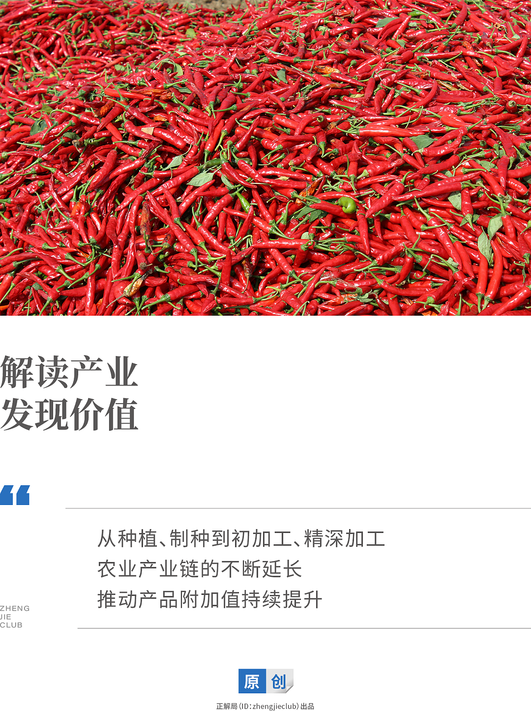 小小辣椒，何以成就千亿产业？（组图） - 1