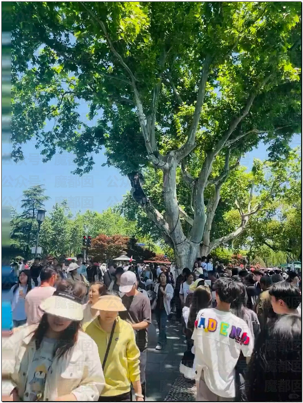 肉贴肉，人挤人！五一长假首日，中国各大景点已爆（组图） - 17