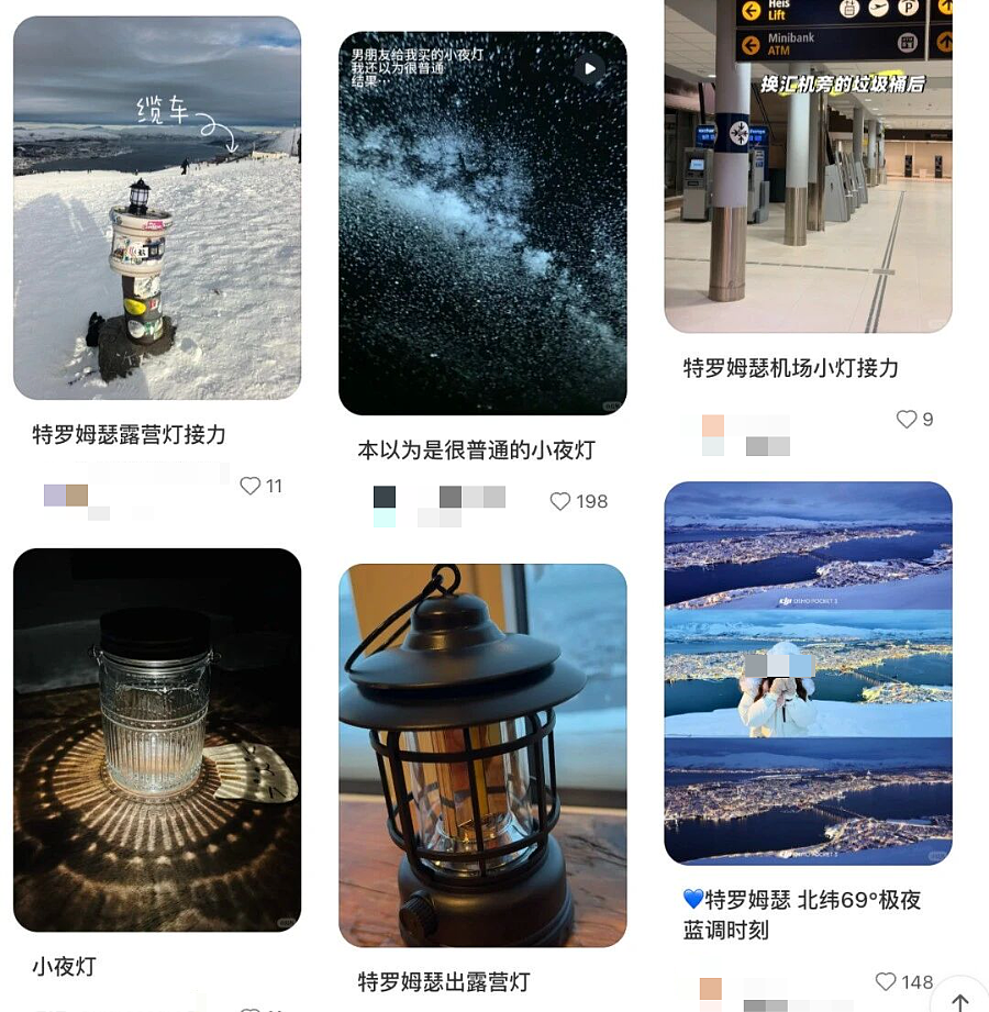 放弃出片的中产，挤爆“旅游兴趣班” - 19