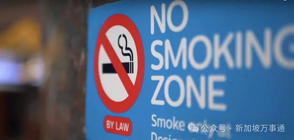 离境新加坡竟在机场遭遇:被海关扣小黑屋、巡警拿枪指头(组图) - 17