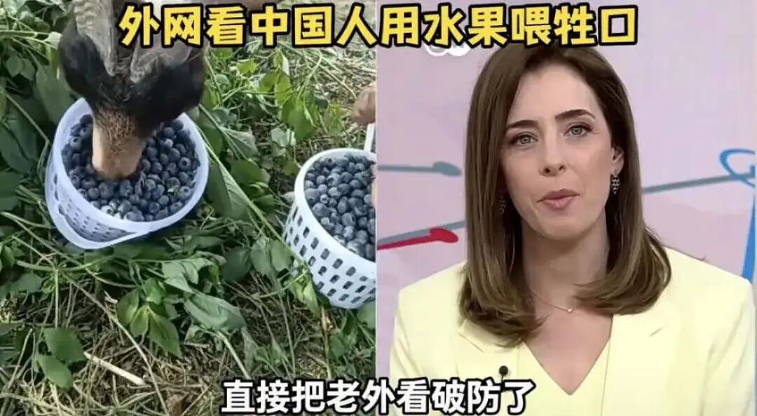 人均9.9元的中国菜市场,让老外们彻底沦陷 - 23