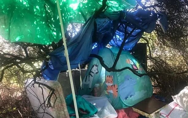 新西兰女子换肾后流浪街头，拍460条视频记录，遗言让人破防 - 6