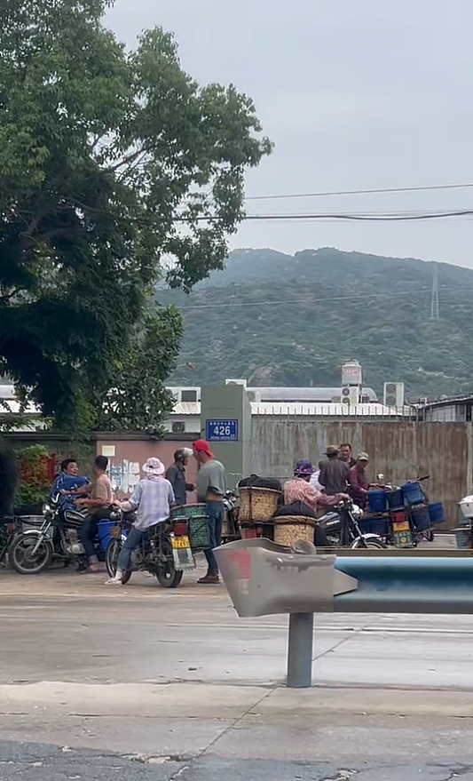“从6元跌到1元，还是卖不出”！“泡药杨梅”事件后当地杨梅滞销（组图） - 2