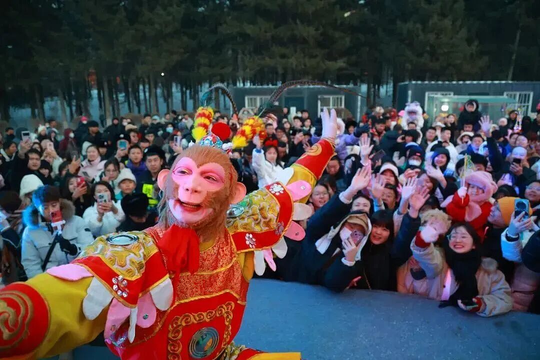 顶流“雪饼猴”,塌房失败(组图) - 7