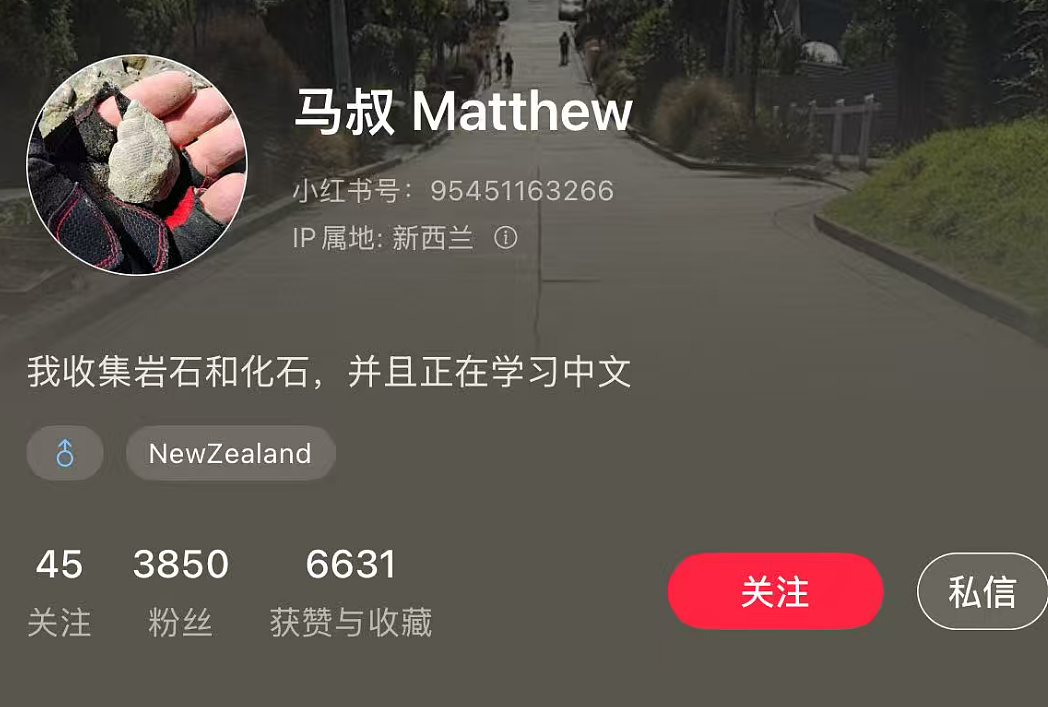 中国游客来新西兰“偷拍”民宅被发现， 屋主一句话让她破防 - 17