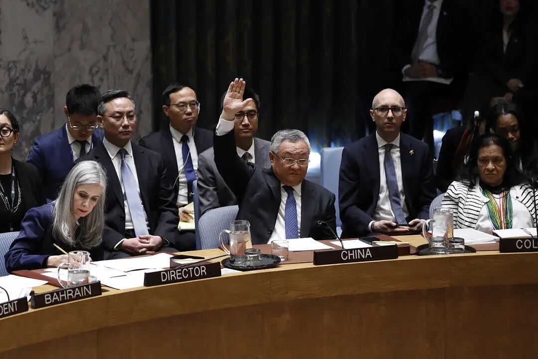 伊朗：深切感谢中国和俄罗斯！中俄否决联合国安理会决议草案（组图） - 2