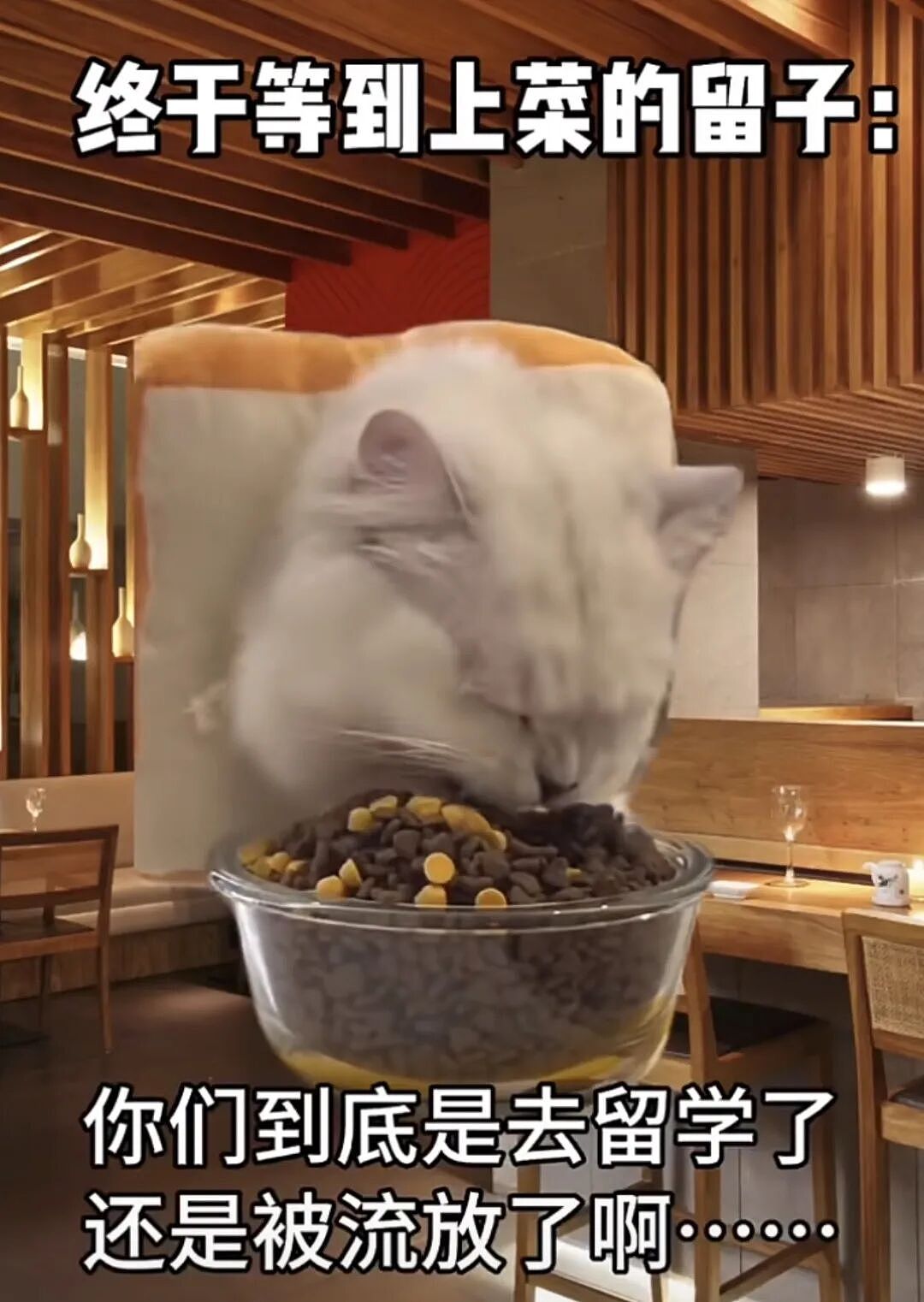 20天胖7斤！留学生回到中国“报复性进食”，话题引网民热议（组图） - 5