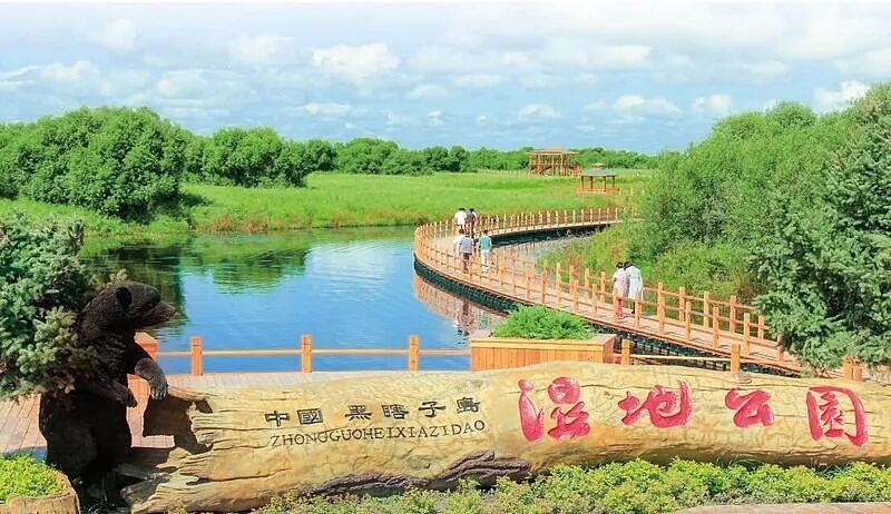 史上首次！俄抓获“新西兰间谍”！在中俄边境附近被捕，新西兰表态...（组图） - 8