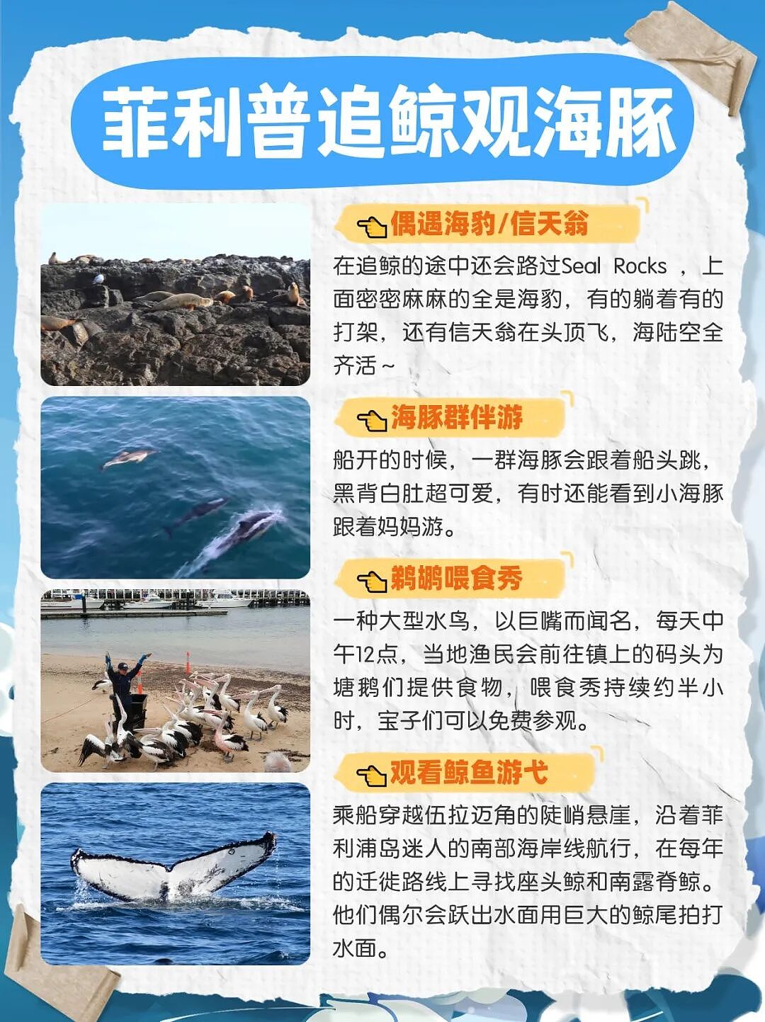 冬天来墨尔本，千万别错过这场限定海上奇遇！ - 2