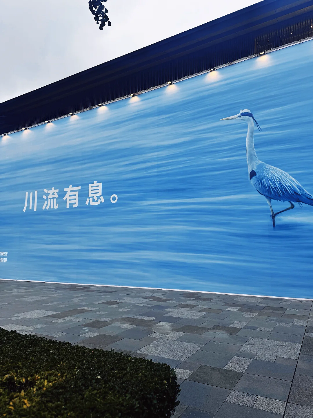 MUJI文案又出圈了!上海旗舰店闭店海报“再见,在见”,网友:妙(组图) - 10