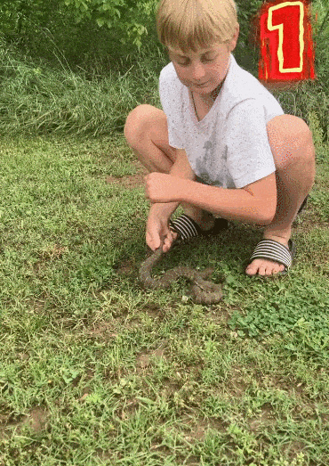 12岁男孩找到全网最疼的流量密码，为了涨粉，一天被蛇咬25口（组图） - 7
